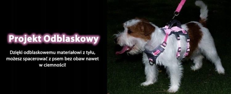 Szelki wodoodporne, odblaskowe regulowane dla psa HUNTBOO różowe S