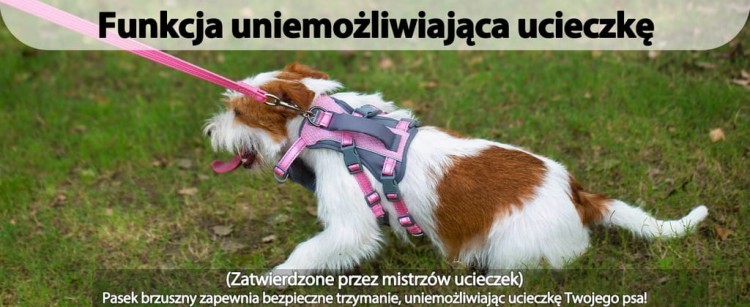 Szelki wodoodporne, odblaskowe regulowane dla psa HUNTBOO różowe S