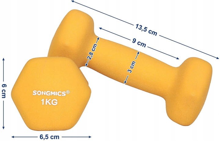 Hantle winylowe Songmics 2x 1 kg 2 szt.